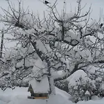 & Preseren Casa de hóspedes Bled