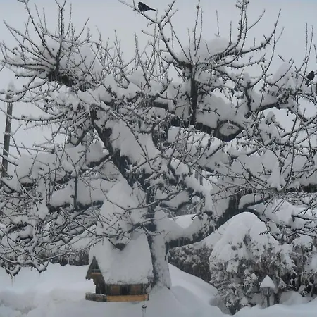 & Preseren בית הארחה בלד