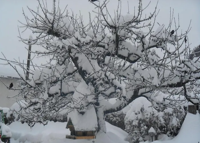 & Preseren Hiša za goste Bled